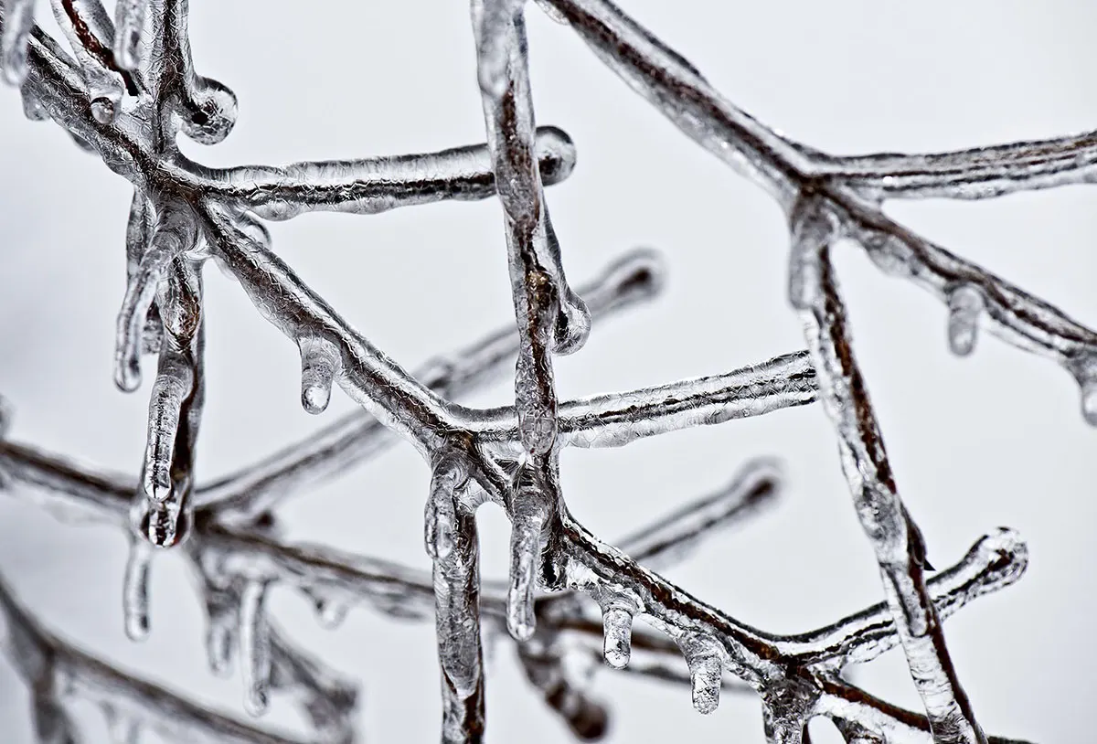 Morar em Montreal 12 Pontos que deve considerar antes viver nesta cidade 6